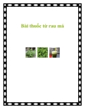 Bài thuốc từ rau má