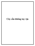 Cây cầu không tay vịn