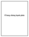 Ở lưng chừng hạnh phúc