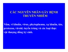 Bệnh lý thực vật  - Các nguyên nhân gây bệnh truyền nhiễm