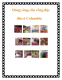 Dòng sông cầu vồng độc đáo ở Columbia