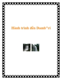 Hành trình đến Damb"ri