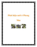 Phát hiện mới ở Phong Nha