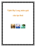 Vịnh Hạ Long món quà của tạo hoá