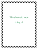 Thủ phạm gây mụn trứng cá