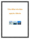 Tiêu điểm trên thảo nguyên Alberta