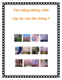 Thơ mộng những chốn rợp sắc anh đào tháng 3