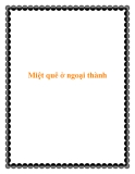 Miệt quê ở ngoại thành