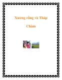 Xương rồng và Tháp Chàm