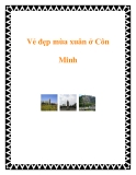 Vẻ đẹp mùa xuân ở Côn Minh