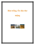 Bàu trắng. Ốc đảo thơ mộng