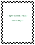 8 nguyên nhân lớn gây mụn trứng cá