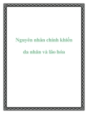 Nguyên nhân chính khiến da nhăn và lão hóa