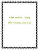 Viêm amidan - "hung thần" của trẻ mùa lạnh