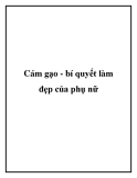 Cám gạo - bí quyết làm đẹp của phụ nữ