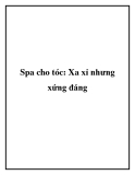 Spa cho tóc: Xa xỉ nhưng xứng đáng