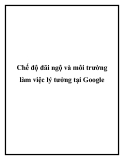 Chế độ đãi ngộ và môi trường làm việc lý tưởng tại Google