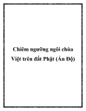 Chiêm ngưỡng ngôi chùa Việt trên đất Phật (Ấn Độ)