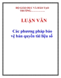 LUẬN VĂN: Các phương pháp bảo vệ bản quyền tài liệu số