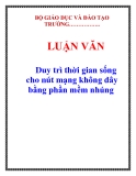 LUẬN VĂN: Duy trì thời gian sống cho nút mạng không dây bằng phần mềm nhúng