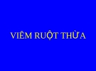 Viem ruot thua ppt