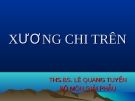 BÀI GIẢNG: XƯƠNG CHI TRÊN