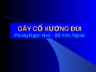 Bài giảng: GÃY CỔ XƯƠNG ĐÙI (Phùng Ngọc Hòa)