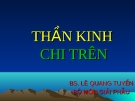 THẦN KINH CHI TRÊN