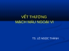 VẾT THƯƠNG MẠCH MÁU NGOẠI VI