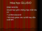 Hóa học GLUSID