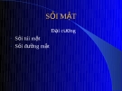 Bài giảng: Sỏi mật