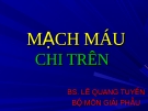 Bài giảng: Mạch máu chi trên