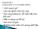 Ánh sáng và cơ thể sống