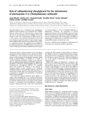 Báo cáo Y học:  Role of sulfoquinovosyl diacylglycerol for the maintenance of photosystem II in Chlamydomonas reinhardtii