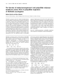 Báo cáo Y học: The function of methyl-menaquinone-6 and polysul®de reductase membrane anchor (PsrC) in polysul®de respiration ofWolinella succinogenes