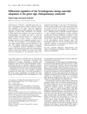 Báo cáo Y học:  Differential regulation of the Fe-hydrogenase during anaerobic adaptation in the green alga Chlamydomonas reinhardtii