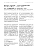 Báo cáo Y học: A pool of Y2 neuropeptide Y receptors activated by modiﬁers of membrane sulfhydryl or cholesterol balance