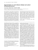 Báo cáo Y học:  Characterization of a novel silkworm (Bombyx mori ) phenol UDP-glucosyltransferase