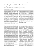 Báo cáo Y học: Intracellular pH homeostasis in the ﬁlamentous fungus Aspergillus niger