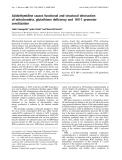 Báo cáo Y học:  Azidothymidine causes functional and structural destruction of mitochondria, glutathione deﬁciency and HIV-1 promoter sensitization