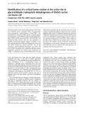 Báo cáo Y học:  Identiﬁcation of a critical lysine residue at the active site in glyceraldehyde-3-phosphate dehydrogenase of Ehrlich ascites carcinoma cell