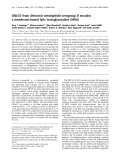 Báo cáo Y học:  GNA33 from Neisseria meningitidis serogroup B encodes a membrane-bound lytic transglycosylase (MltA)