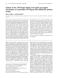 Báo cáo Y học:  Analyses of the CYP11B gene family in the guinea pig suggest the existence of a primordial CYP11B gene with aldosterone synthase activity