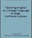Teaching English as a foreign language to large, multilevel classes 