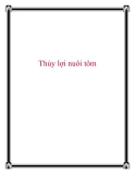 Thủy lợi nuôi tôm