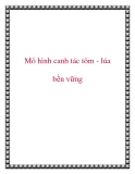 Mô hình canh tác tôm - lúa bền vững