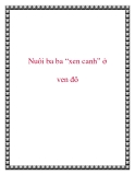 Nuôi ba ba “xen canh” ở ven đô