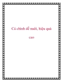 Cá chình dễ nuôi, hiệu quả cao