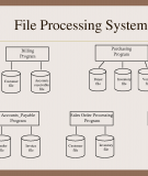 Chapter 14 - File Processing