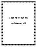 Chọn vị trí đặt cây xanh trong nhà